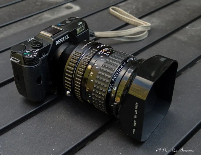 Pentax Q: Why you need to own one in 2022 — FERNS & FEATHERS